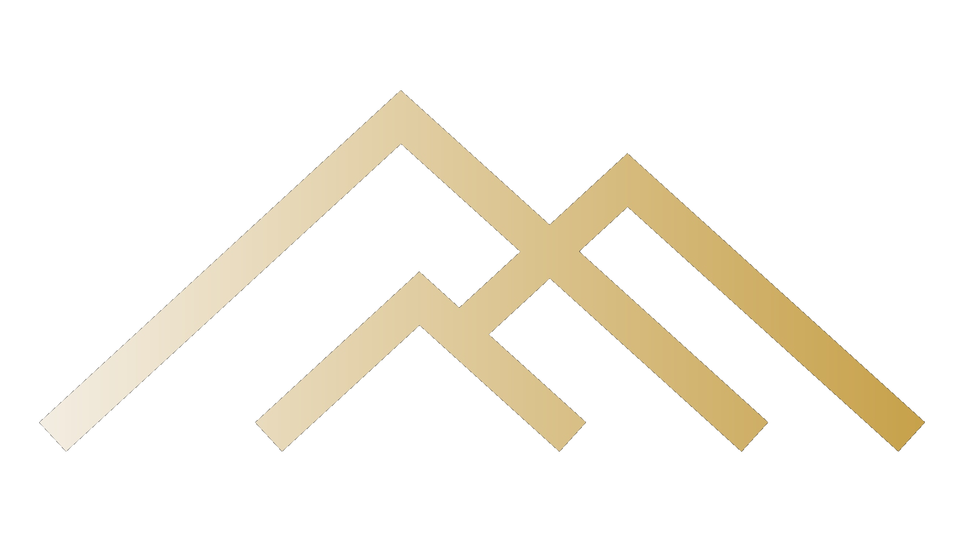Lionheart Coaching Academy